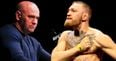 Conor McGregor definitely approves of Dana White’s UFC return update