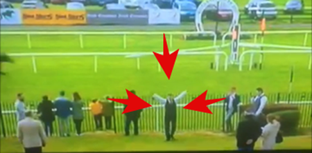 There were horses racing in Killarney today, but this soaring spectator outshone them all