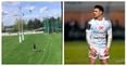 WATCH: Dan Carter’s kicking drill shows why he is still the best in the world