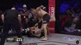 Referee lets fight go on far too long as fighter gets pummeled into oblivion