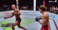 Crunching right hand makes UFC welterweight “chicken dance” across the Octagon