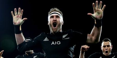 All Blacks reveal new jersey that’s fit to poach a pride of Lions