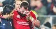 Stuart Hogg ruled out of Lions Tour after gut-wrenching news confirmed