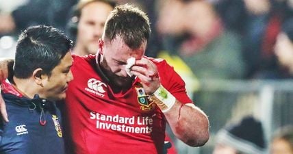 Stuart Hogg ruled out of Lions Tour after gut-wrenching news confirmed