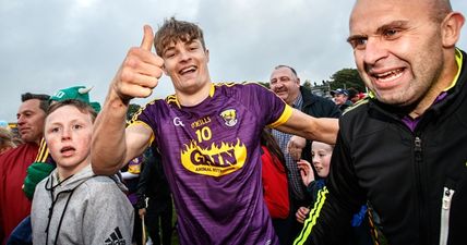 Even a cheeky Kilkenny fan in the stands couldn’t prevent their loss to Wexford