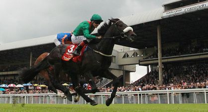 WIN: Tickets for you and 3 friends to SportsJOE Derby Friday at the Curragh