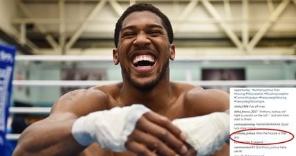 Anthony Joshua had a fitting response after being called out to fight on McGregor vs. Mayweather undercard