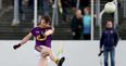 Wexford’s Twitter account was at it again in their qualifier win over Limerick