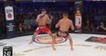 Bellator star Michael Chandler suffers gruesome freak injury before ultimate embarrassment