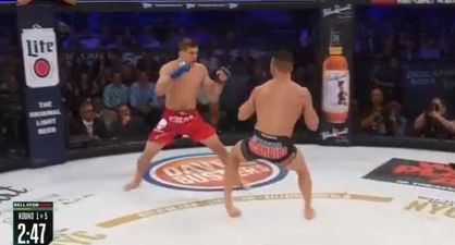 Bellator star Michael Chandler suffers gruesome freak injury before ultimate embarrassment