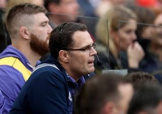 A legend of Munster rugby has been tipped as a replacement for Rassie Erasmus