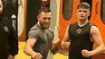 More Conor McGregor sparring partners confirmed as Floyd Mayweather reportedly  axes one of his