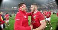 CJ Stander’s reaction at the final whistle was every Lions fan this morning