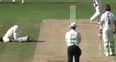 This slug-like cricket celebration is not like anything we’ve seen before