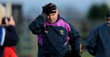 Wexford manager sums up unfortunate reality of the massive gap of class in Leinster