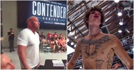 Sean O’Malley earns UFC contract with stunning knock-out that sent Dana White wild