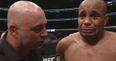 Joe Rogan has apologised for his interview with Daniel Cormier at UFC 214