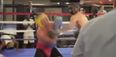 Sparring footage strengthens theory on Conor McGregor’s plan for Floyd Mayweather