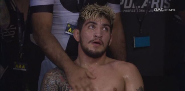 Dillon Danis