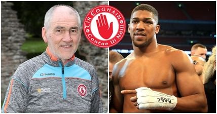 Anthony Joshua joins Tyrone 4 Sam movement but jersey definitely isn’t player-fit