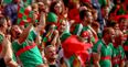 Mayo fans are a credit to their county and it has been like that every step of the way