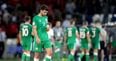 One harrowing statistic shows just how lucky Ireland were to come away with a point from Tbilisi