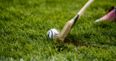 Club amalgamation in Laois ends up biting players in the hole