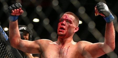 Brendan Schaub may still be stinging from Nate Diaz altercation