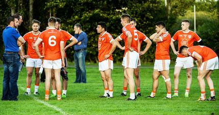 Pests who destroyed GAA club’s field must feel very embarrassed now