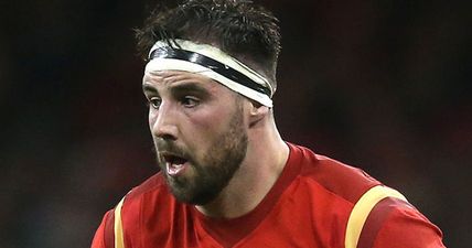 “Stupid” Welsh rugby star misses game after being bitten by a lion