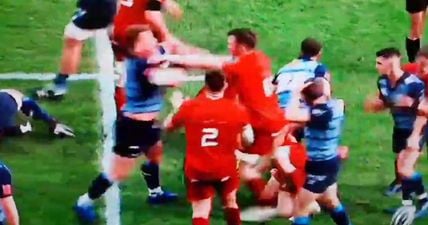 Peter O’Mahony was standing for absolutely no crap today