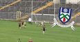 Goalkeeper in Monaghan makes six one-on-one saves in minor final