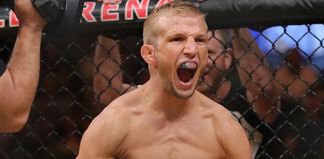 TJ Dillashaw