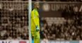 Darren Randolph is hitting form at the right time