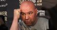 Dana White planning to bring boxing to the UFC