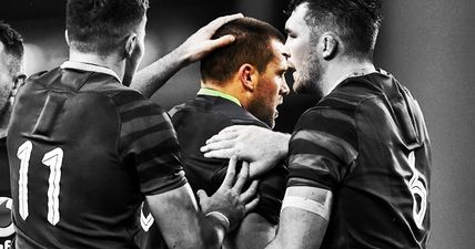 What CJ Stander did in Ireland’s victory should not be soon forgotten