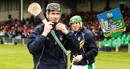 Limerick hurlers will be scrapping each other on Saturday for fundraiser