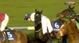 WATCH: Jack Kennedy somehow recovers after horse does everything to throw him off, wins race