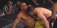 Khabib Nurmagomedov absolutely smashes Edson Barboza with unsettling ease