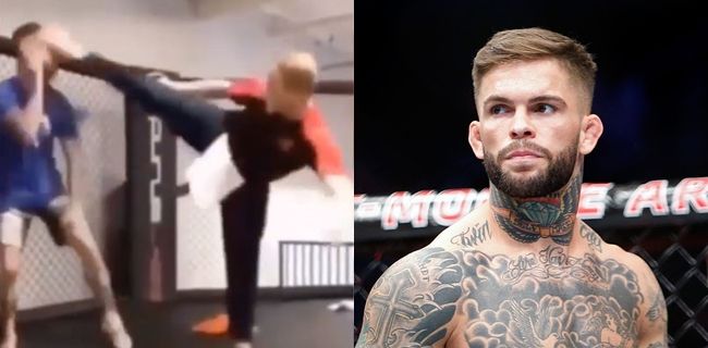 Cody Garbrandt