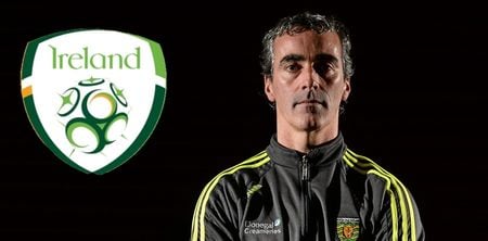 Jim McGuinness in the mix for next Republic of Ireland manager, according to bookies