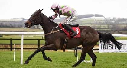 Mullins-Ricci novice hurdler set for Punchestown showdown with redemption-seeking Mengli Khan