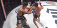 Aaron Pico demolishes vastly more experienced opponent with terrifying knockout