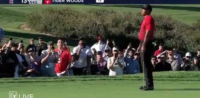 Tiger Woods