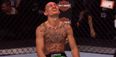 UFC keep contacting Max Holloway about his weight