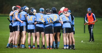 Foran cleans up again as UCD take CIT out of Fitzgibbon