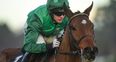 Footpad emerges as Cheltenham ‘Banker’ material after scintillating showing