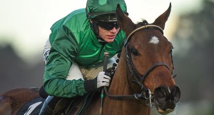 Footpad emerges as Cheltenham ‘Banker’ material after scintillating showing