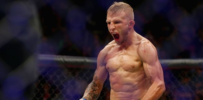 TJ Dillashaw