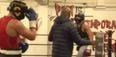 Chris Eubank had to separate son from Ireland sparring partner during heated session